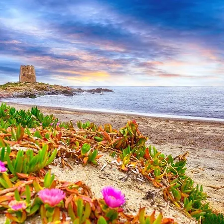 Lejlighed Sea Whisper Garden